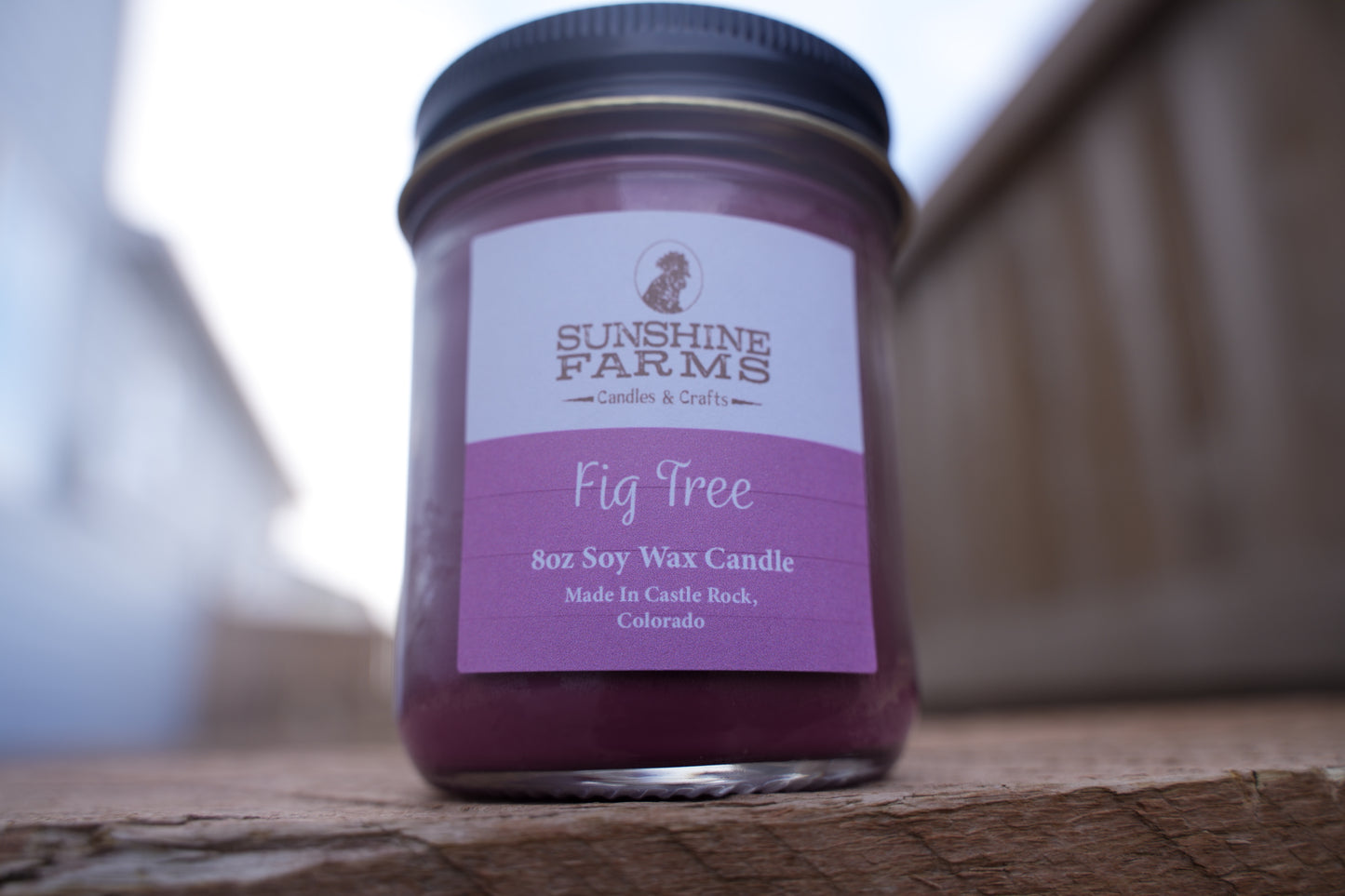 Fig Tree Candle